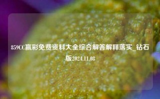 859CC赢彩免费资料大全综合解答解释落实_钻石版2024.11.08