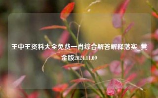 王中王资料大全免费一肖综合解答解释落实_黄金版2024.11.09