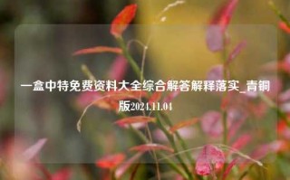 一盒中特免费资料大全综合解答解释落实_青铜版2024.11.04