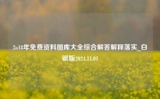 2o18年免费资料图库大全综合解答解释落实_白银版2024.11.01