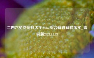 二四六免费资料大全246cc综合解答解释落实_青铜版2024.11.03