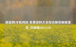 绝密网l手机网投 免费资料大全综合解答解释落实_白银版2024.11.09