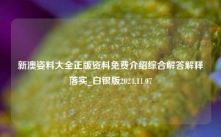 新澳姿料大全正版资料免费介绍综合解答解释落实_白银版2024.11.07