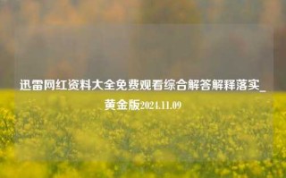 迅雷网红资料大全免费观看综合解答解释落实_黄金版2024.11.09