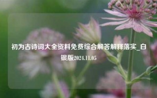 初为古诗词大全资料免费综合解答解释落实_白银版2024.11.05