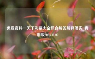 免费资料一天下彩票大全综合解答解释落实_青铜版2024.11.02