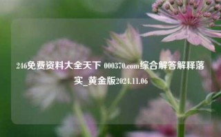 246免费资料大全天下 000370.com综合解答解释落实_黄金版2024.11.06