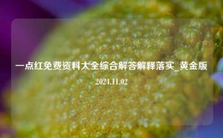 一点红免费资料大全综合解答解释落实_黄金版2024.11.02