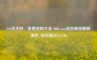 246天天好釆免费资料大全 308k.com综合解答解释落实_钻石版2024.11.06