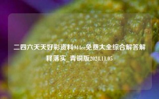 二四六天天好彩资料944cc免费大全综合解答解释落实_青铜版2024.11.05