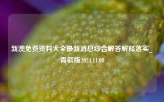 新澳免费资料大全最新消息综合解答解释落实_青铜版2024.11.08