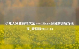 小龙人免费资料大全 www.168o.net综合解答解释落实_青铜版2024.11.03