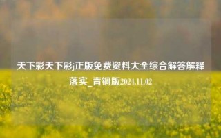 天下彩天下彩j正版免费资料大全综合解答解释落实_青铜版2024.11.02