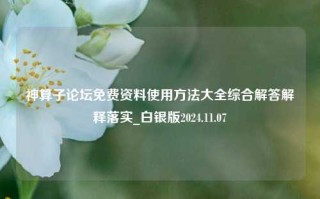 神算子论坛免费资料使用方法大全综合解答解释落实_白银版2024.11.07