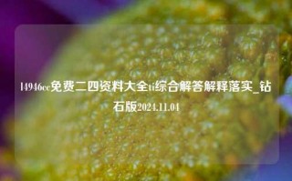 l4946cc免费二四资料大全ti综合解答解释落实_钻石版2024.11.04