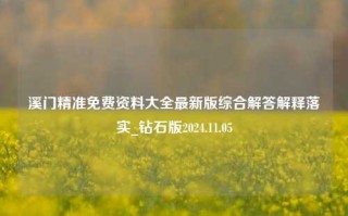 溪门精准免费资料大全最新版综合解答解释落实_钻石版2024.11.05