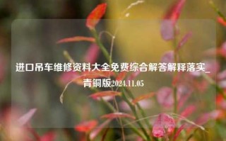 进口吊车维修资料大全免费综合解答解释落实_青铜版2024.11.05