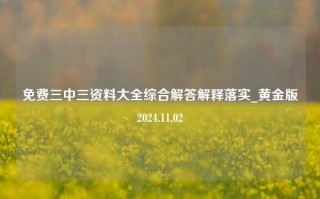 免费三中三资料大全综合解答解释落实_黄金版2024.11.02