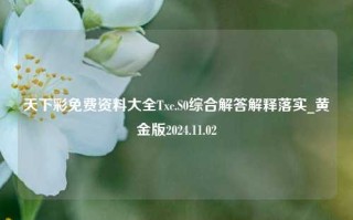 天下彩免费资料大全Txc.S0综合解答解释落实_黄金版2024.11.02