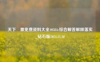 天下釆票免费资料大全40584c综合解答解释落实_钻石版2024.11.10