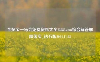 金多宝—马会免费资料大全13983.com综合解答解释落实_钻石版2024.11.02