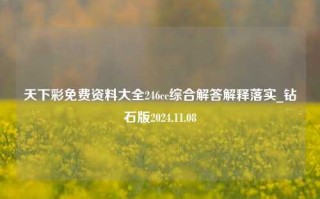 天下彩免费资料大全246cc综合解答解释落实_钻石版2024.11.08