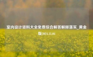 室内设计资料大全免费综合解答解释落实_黄金版2024.11.04