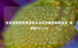 管家婆特网免费资料大全综合解答解释落实_青铜版2024.11.04