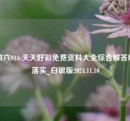 二四六944c天天好彩免费资料大全综合解答解释落实_白银版2024.11.10