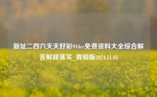 新址二四六天天好彩944cc免费资料大全综合解答解释落实_青铜版2024.11.01