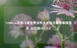 751000c m笑傲江湖免费资料大全综合解答解释落实_钻石版2024.11.07