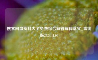 搜索网盘资料大全免费综合解答解释落实_青铜版2024.11.09