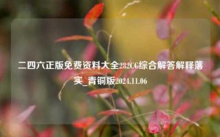 二四六正版免费资料大全282CC综合解答解释落实_青铜版2024.11.06