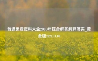 曾道免费资料大全2O2O年综合解答解释落实_黄金版2024.11.08