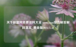 天下彩富网免费资料大全 wrsug.com综合解答解释落实_黄金版2024.11.10