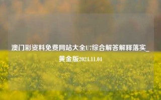 澳门彩资料免费网站大全U7综合解答解释落实_黄金版2024.11.04