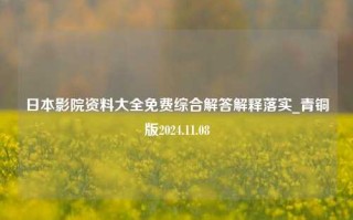 日本影院资料大全免费综合解答解释落实_青铜版2024.11.08