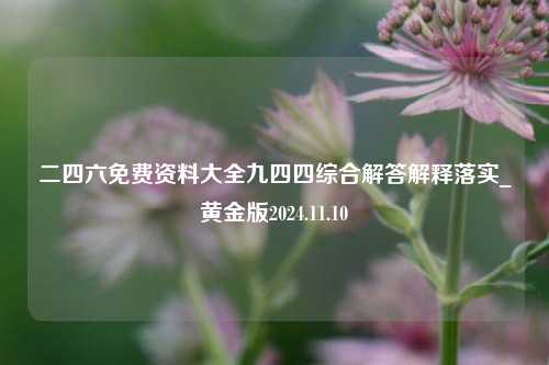 二四六免费资料大全九四四综合解答解释落实_黄金版2024.11.10-第1张图片-旅游攻略分享平台-独家小贴士