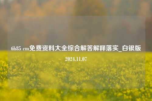 6h85 cm免费资料大全综合解答解释落实_白银版2024.11.07-第1张图片-旅游攻略分享平台-独家小贴士