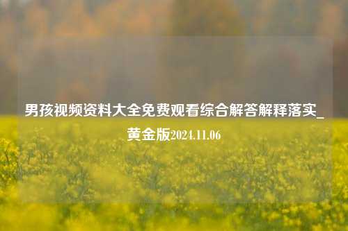 男孩视频资料大全免费观看综合解答解释落实_黄金版2024.11.06-第1张图片-旅游攻略分享平台-独家小贴士