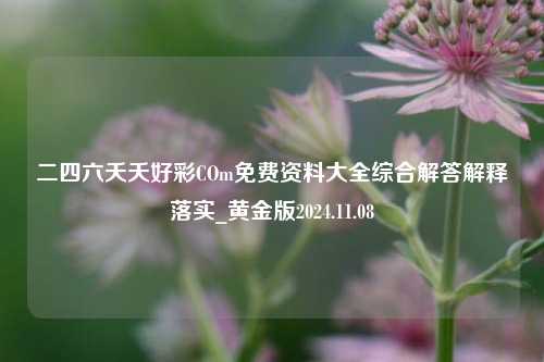 二四六夭夭好彩COm免费资料大全综合解答解释落实_黄金版2024.11.08-第1张图片-旅游攻略分享平台-独家小贴士