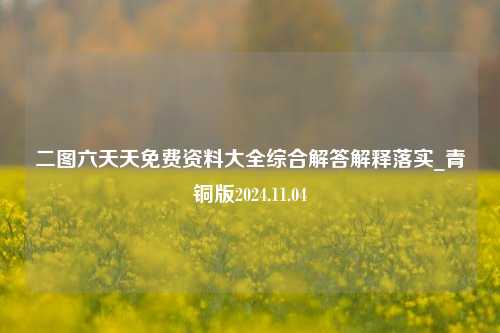 二图六天天免费资料大全综合解答解释落实_青铜版2024.11.04-第1张图片-旅游攻略分享平台-独家小贴士