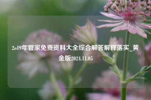 2o19年管家免费资料大全综合解答解释落实_黄金版2024.11.05-第1张图片-旅游攻略分享平台-独家小贴士