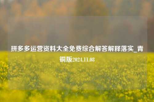 拼多多运营资料大全免费综合解答解释落实_青铜版2024.11.08-第1张图片-旅游攻略分享平台-独家小贴士