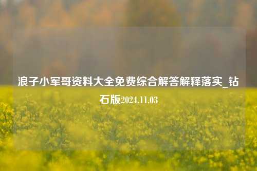 浪子小军哥资料大全免费综合解答解释落实_钻石版2024.11.03-第1张图片-旅游攻略分享平台-独家小贴士