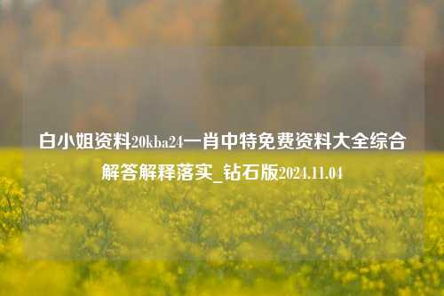 白小姐资料20kba24一肖中特免费资料大全综合解答解释落实_钻石版2024.11.04-第1张图片-旅游攻略分享平台-独家小贴士